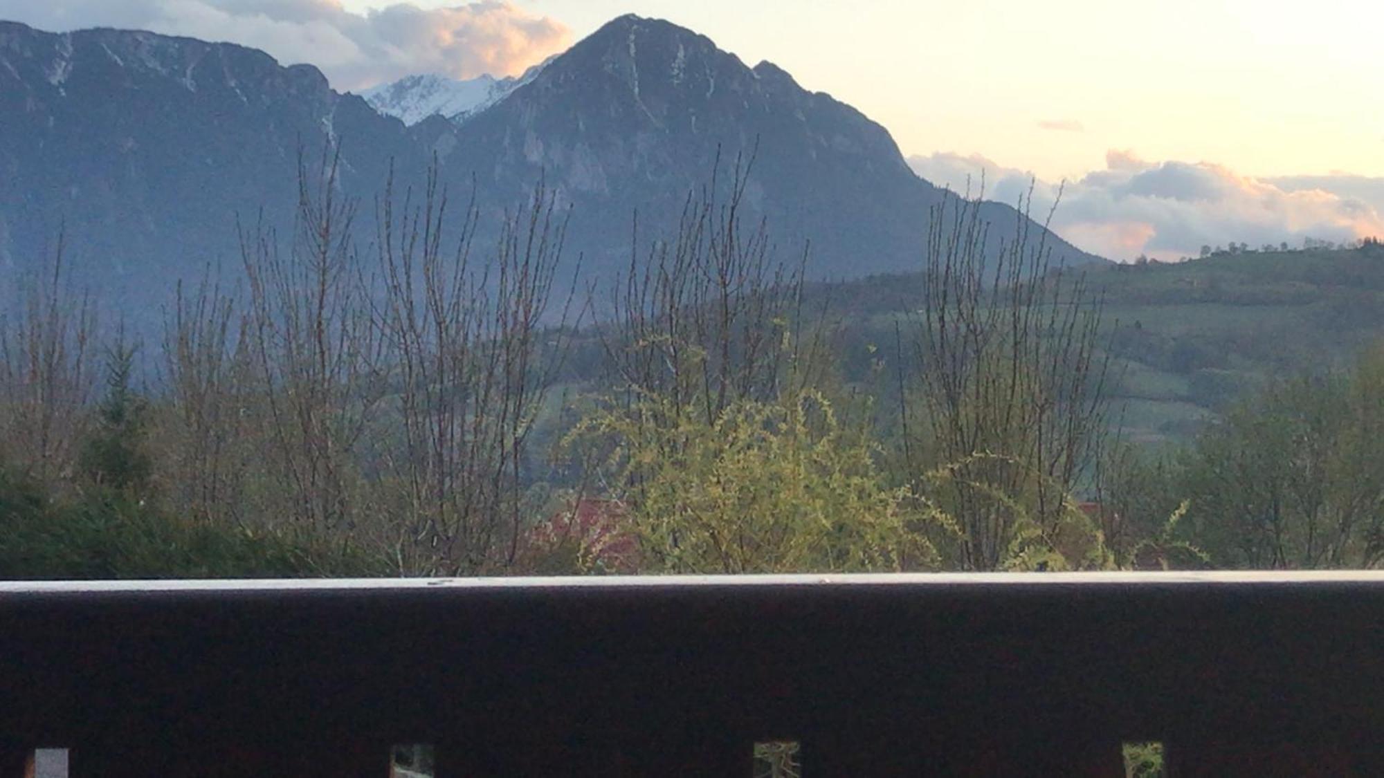 Pension Chalet Poiana Marului Ranch 外观 照片